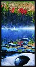 All about forest 10
