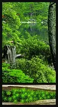 All about forest 2