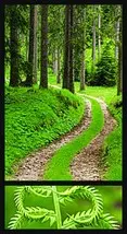 All about forest 6