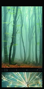 All about forest naptár belül