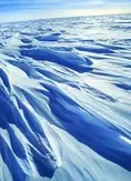 Antarctica 12