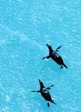 Antarctica 4