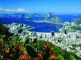 Arount the World 12