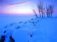 Balaton 1