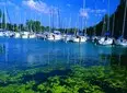Balaton 7