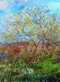 Claude Monet 3