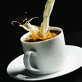 Coffee 7