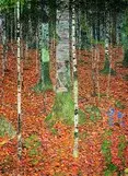 Gustav Klimt 10