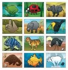 Keverj kedvedre zoo belül