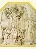 Leonardo 4