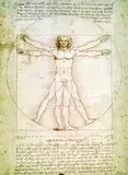 Leonardo 7