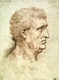 Leonardo 8
