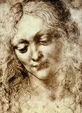 Leonardo 9