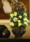 Live Design 12