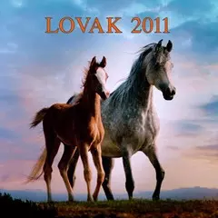 Lovak naptár Lovas naptár