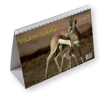 Vadon kölykei diák asztali naptár 