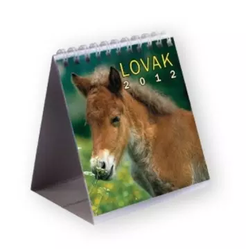 Lovas gyerek asztali naptár