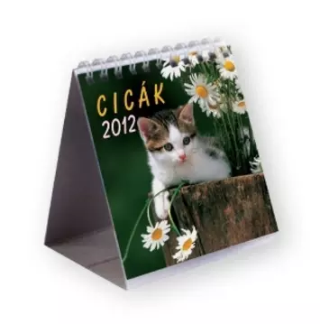 Cicás gyerek asztali naptár 