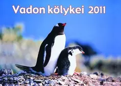 Vadon kölykei naptár Vadon kölykei naptár