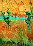Van Gogh 12