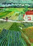 Van Gogh 6