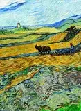 Van Gogh 8