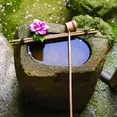 Zen 10