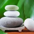 Zen 6