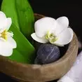 Zen 9